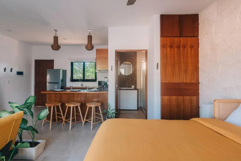 Apartment Brand New And Beautiful! Just Steps From The Beach Playa del Carmen