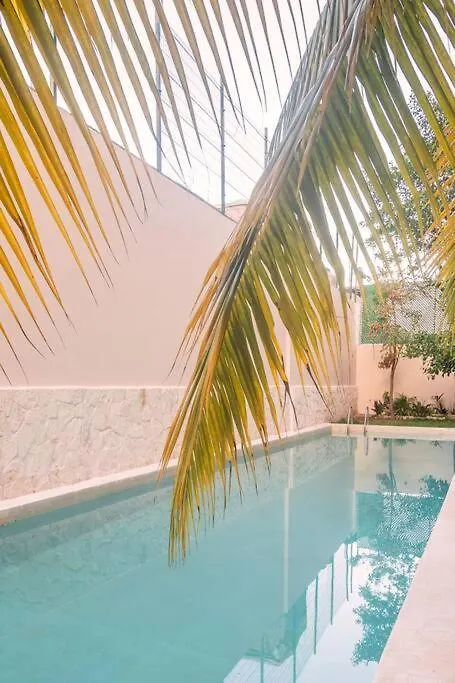 Brand New And Beautiful! Just Steps From The Beach Playa del Carmen Apartment