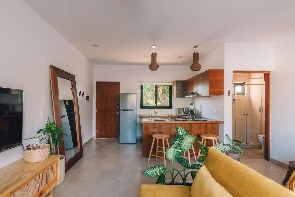 Apartment Brand New And Beautiful! Just Steps From The Beach Playa del Carmen